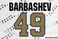 Ivan Barbashev #49