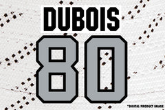 Pierre-Luc Dubois #80