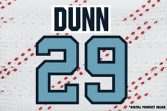 Vince Dunn #29